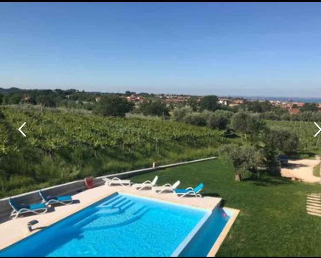 Residence Tasso Canossa - Appartamento Con Piscina Lazise Exteriér fotografie