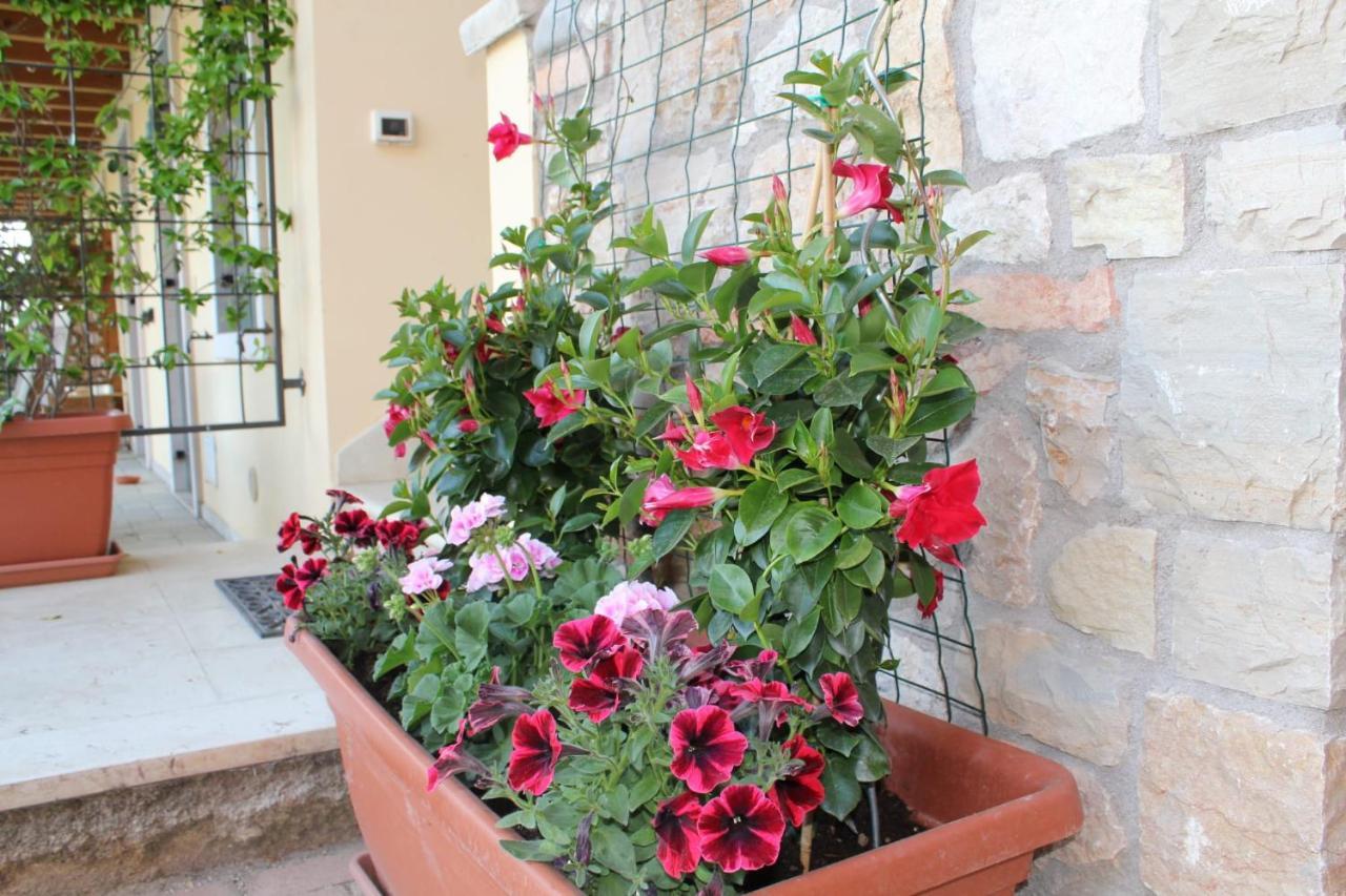 Residence Tasso Canossa - Appartamento Con Piscina Lazise Exteriér fotografie