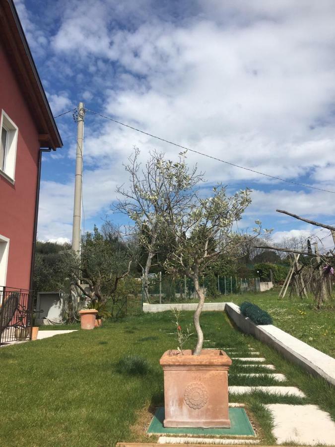 Residence Tasso Canossa - Appartamento Con Piscina Lazise Exteriér fotografie